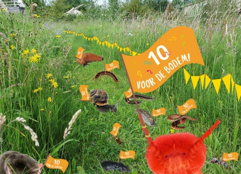 Ontdek nuttige bodemdieren in uw tuin! 